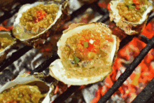 海鲜爆料海鲜视频教程,跟随视频教程轻松掌握海鲜美味  第3张