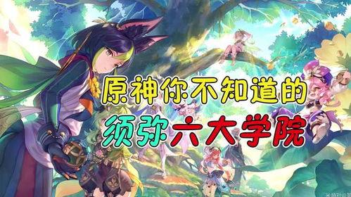 原神最新须弥爆料解说图,原神最新爆料图深度解析  第3张
